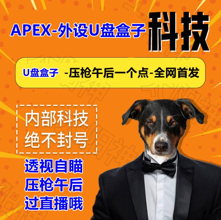 apex辅助-外设U盘盒子-需要快递-月卡
